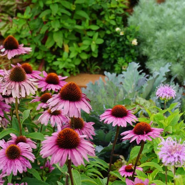 北京必玩景点排名，北京必玩的十个景点排名榜单（北京最值得去的12个景区）