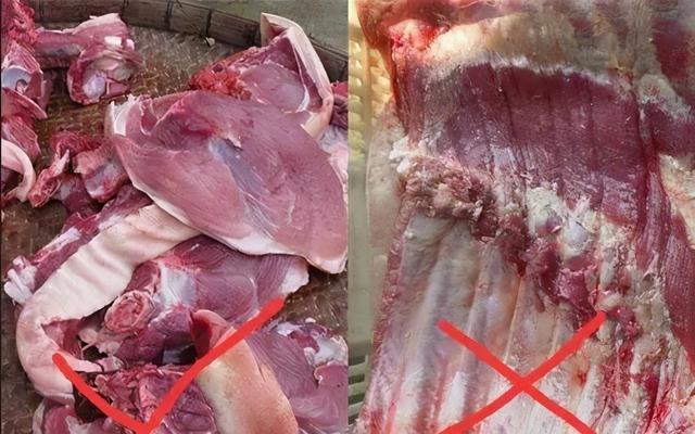 如何鉴别猪肉是否是母猪肉，教你辨别病死猪肉