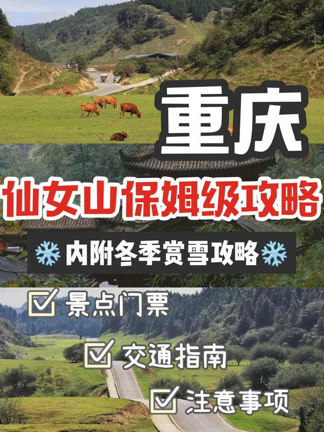 仙女山旅游攻略，重庆旅游景点 仙女山（推荐你去这个免费地方玩）