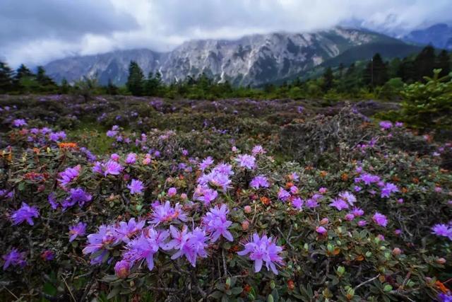 玉龙雪山几月份去最好，几月去丽江玉龙雪山最佳（玉龙雪山旅游攻略路线）