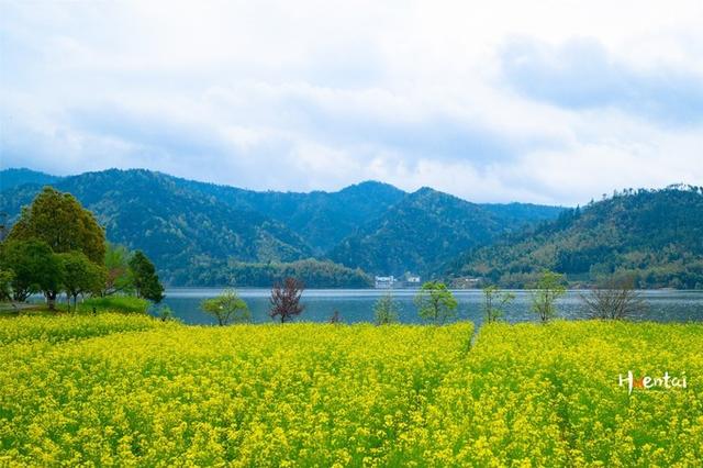 安徽宏村旅游景点简介，安徽宏村旅游攻略位置（安徽这个被诗人李白称为“小桃源”的宏村）