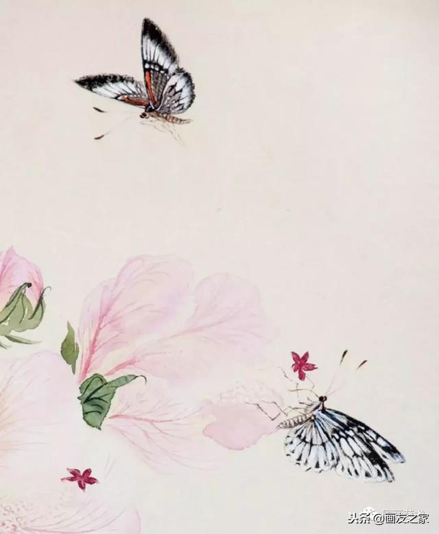 九尾狐最简单的画法教学，逐花之虫蝶蜂画法示范