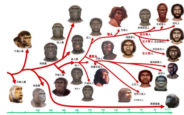 地球上已灭亡的4种人种，世上已消失的4大人种