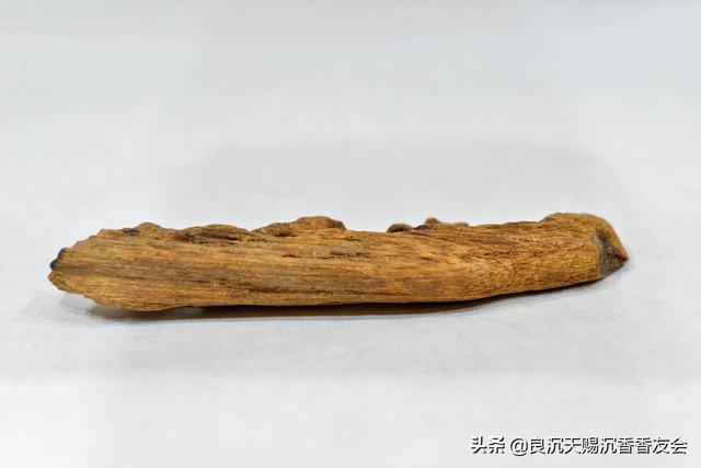 怎样辨认奇楠沉香树，比奇楠还稀少的