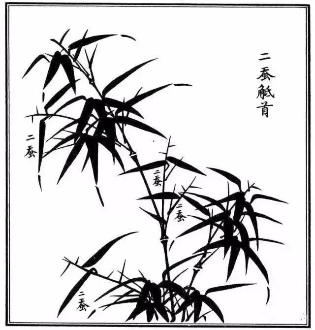 竹子漂亮简单画法，怎样画竹子最好看又简单