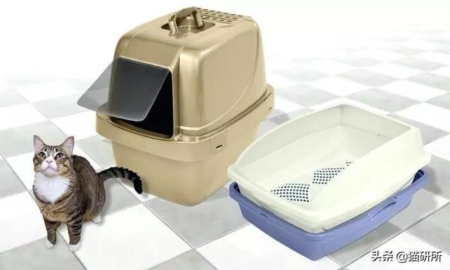 买猫砂盆哪种比较好，猫砂盆最全选购指南