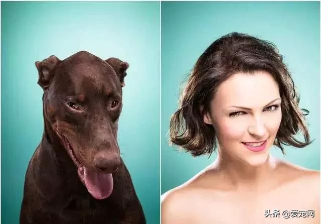 狗狗睡姿看性格，从狗狗睡姿判断狗狗性格