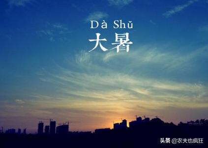 小暑大暑立秋处暑的特点，大暑小暑不是暑