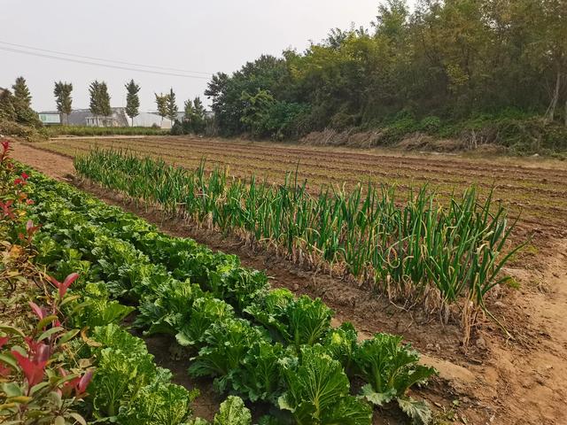 齐国历史博物馆门里的三个木头，齐国千年古文化遗址