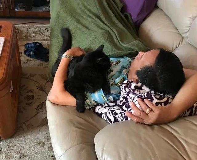 并不是所有人都适合养猫咪，有一部分人根本不适合养喵