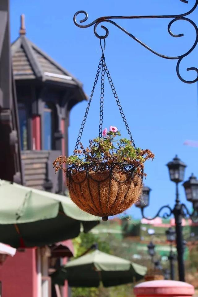 抚仙湖的这些景点，抚仙湖主要旅游景点