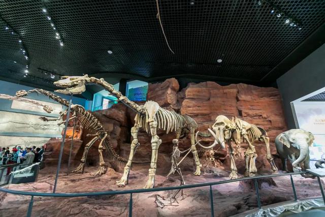 昆明梦幻联邦乐园什么值得玩，昆明周边惊现世界奇迹上的欢乐王国