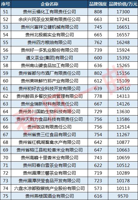 贵州瓮福公司，全面预算体系+报表自动化