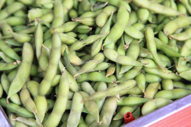 夏豆怎么吃最好，这是才蚕豆最好吃的做法