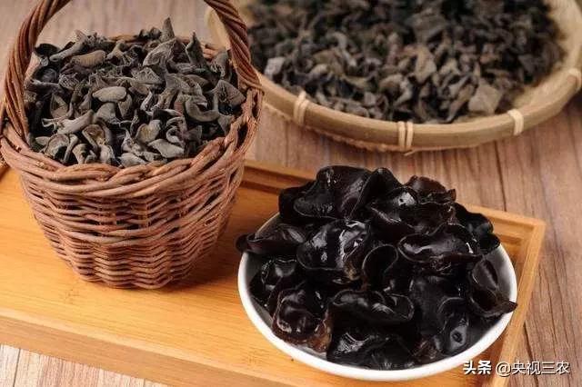 木耳食用的注意事项，黑木耳泡发不当或有生命危险