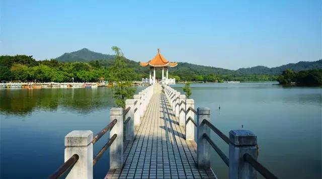 广州大夫山在哪，广州番禺-大夫山