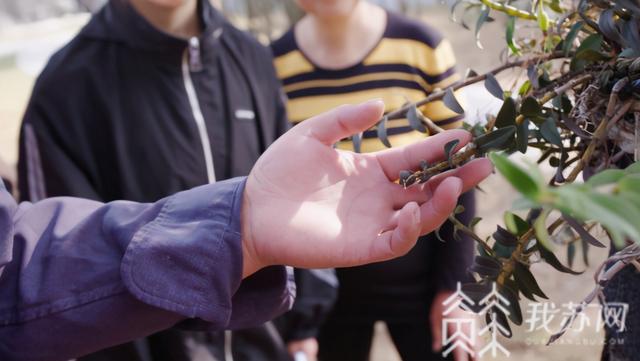 教育脱贫攻坚工作的主要任务，市教育局：巩固脱贫攻坚成果