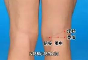 脏器排毒时间表，人体六大器官排毒时间表（器官真的会按照时间表排毒吗）