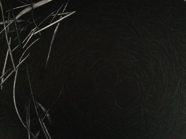 刮刮画作品大赏，刮画被他玩到极致