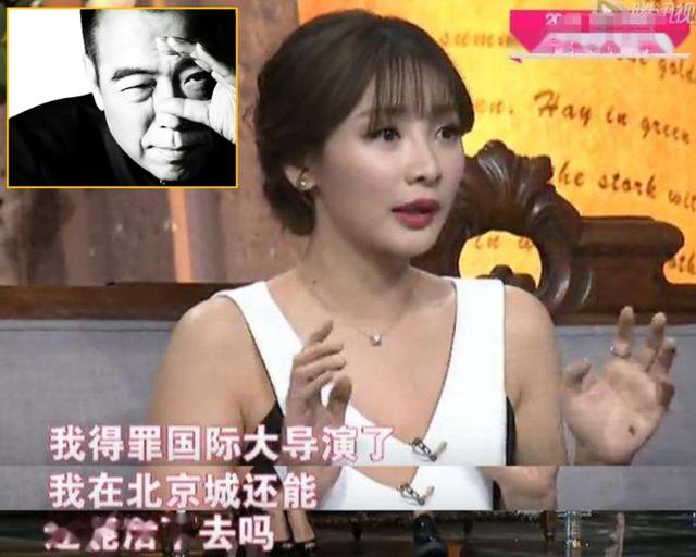 大導演陳凱歌小肚雞腸懟柳岩，郭敬明強發S卡惹爭議，對錯如何定 娛樂八卦吃瓜 第5张