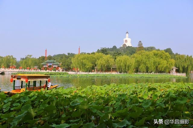 北海市北京路长青公园，北海交警：活用“加减乘除”法