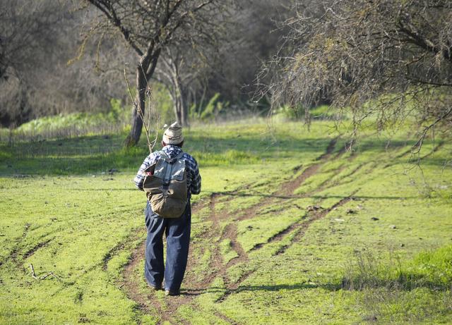 散步消耗卡路里计算公式，计算你步行时燃烧了多少卡路里