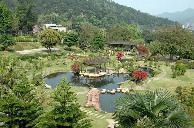 梧州有什么好玩的地方旅游景点，梧州的旅游景点大全