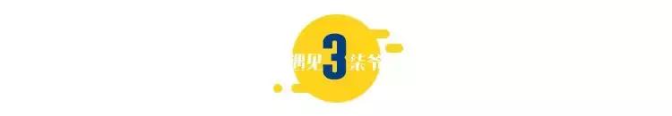 杨幂从头被黑到尾，杨幂：从被全网黑到偶像剧一姐