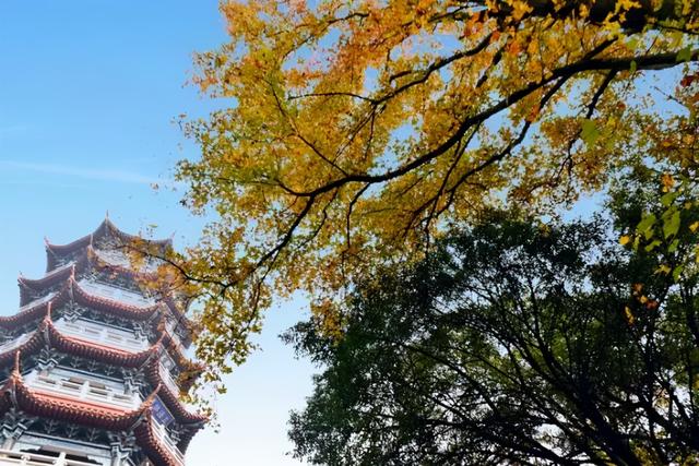 湖南自驾一日游最佳景点，湖南这6条自驾游线路