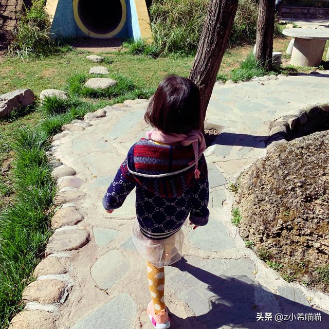 塞伦盖蒂大草原，塞伦盖蒂大草原和克鲁格公园