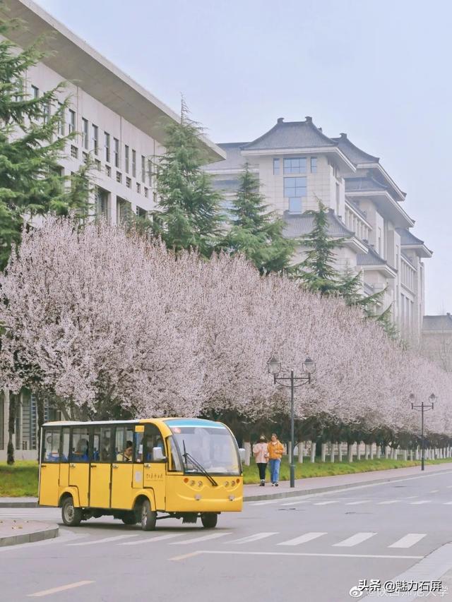 大学校花每一张都是壁纸，最美大学校花，哪个最漂亮