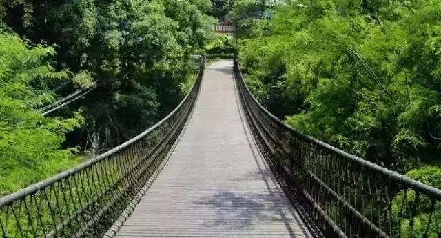 福州到厦门高铁，福州至厦门高铁运行时间