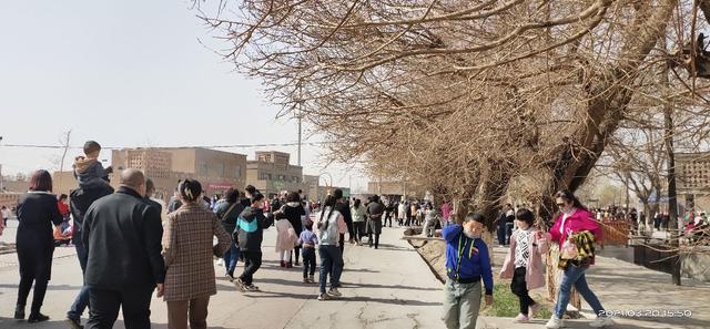 杏花节活动开幕，杏花节我来啦