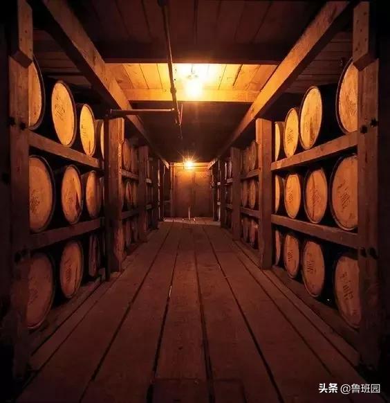 橡木相关知识，记得收藏这篇文章备用