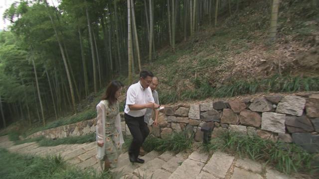 湖州，湖州旅游攻略自由行攻略