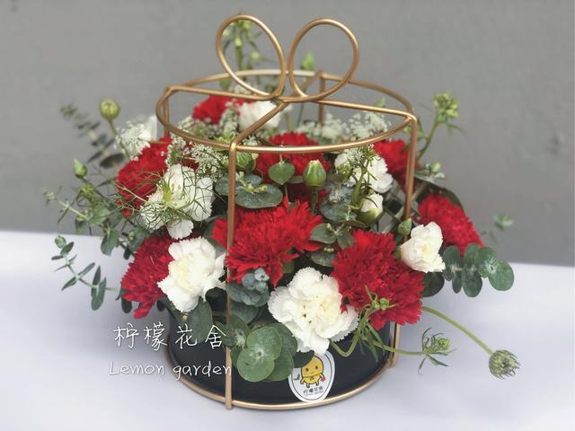 康乃馨开花期怎么养护，盆栽“康乃馨”
