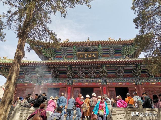 郑州攻略一日游，郑州一日游吃住攻略（三个适合带娃玩的小众宝藏地方）