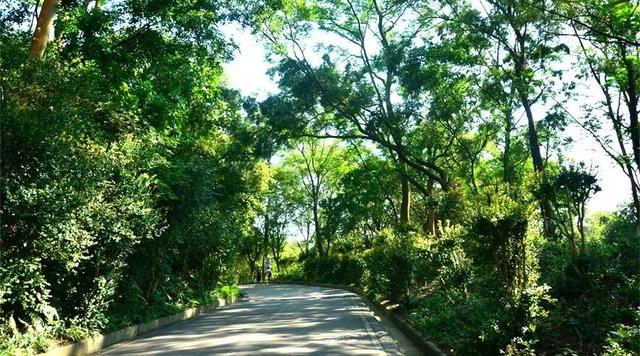 广州大夫山在哪，广州番禺-大夫山