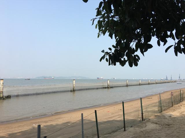 广州哪里可以看海，广州旅游看海的地方（广州这些“无敌海景”碧道藏不住了）