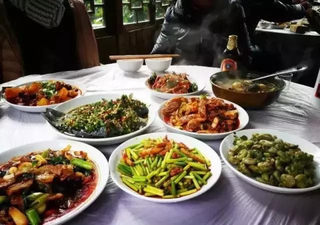 成都周边好玩的农家乐推荐，成都这4个冷门农家乐