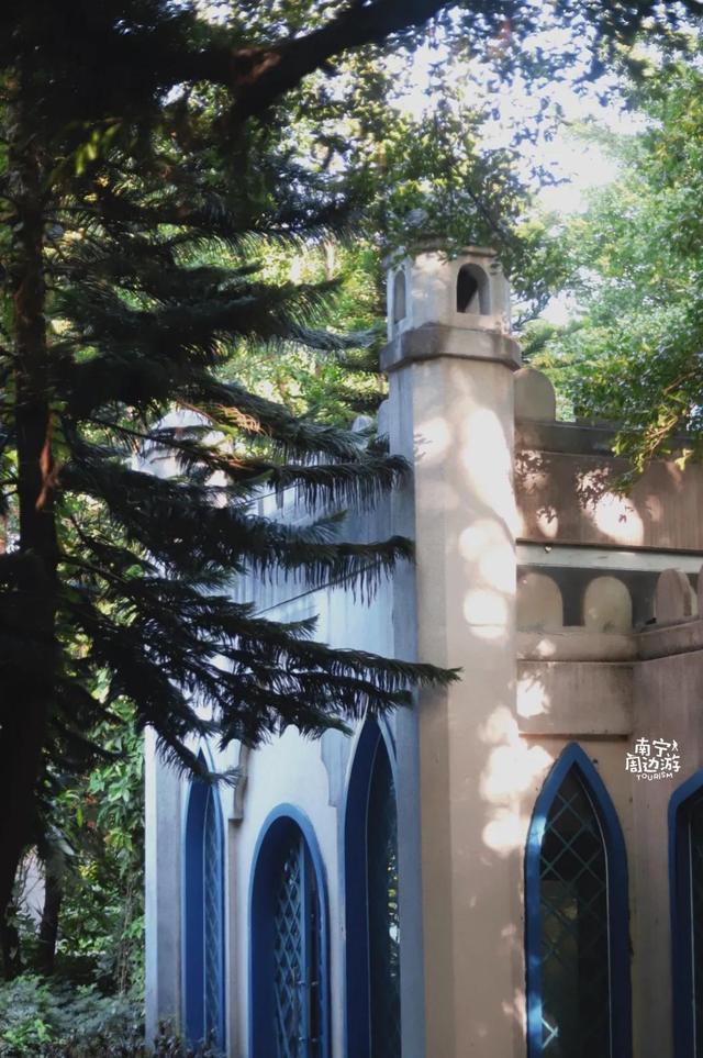 南宁附近花海景点推荐，南宁这几处花海，美了