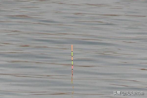 钓鱼调漂的正确方法技巧，4种经典调漂方法对比