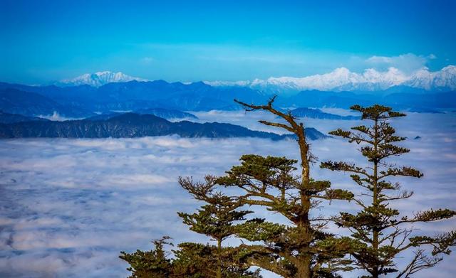 四川峨眉山介绍，中国四大佛教名山之一——峨眉山