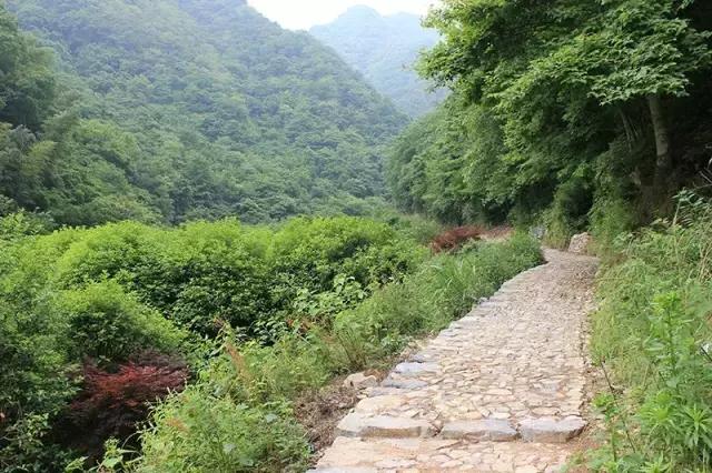 宁波有几个古道可以爬山的，宁波这11条登山健身步道你走过吗