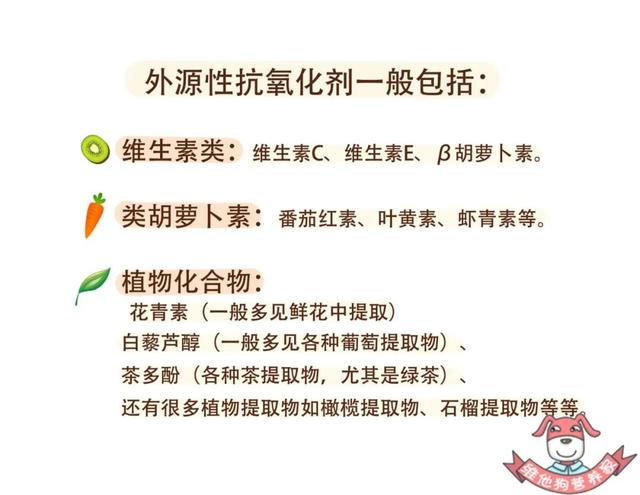 自由基抗氧化剂有什么，盘点若美欣等三大含富勒烯护肤品