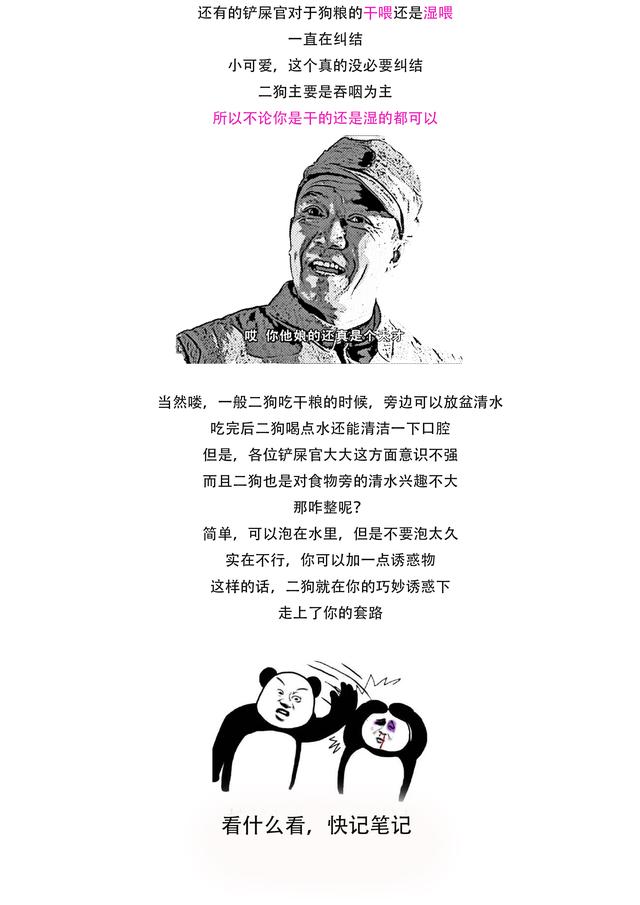 狗粮要怎么喂才好，3分钟让你知道狗粮的正确喂法