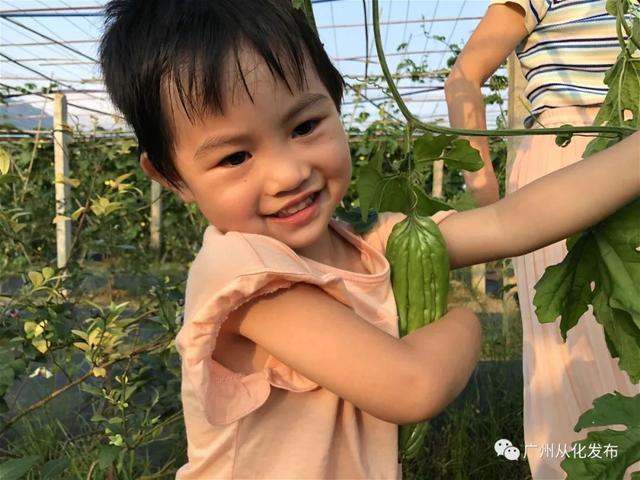 广州六一儿童节游玩推荐，儿童节溜娃不用愁