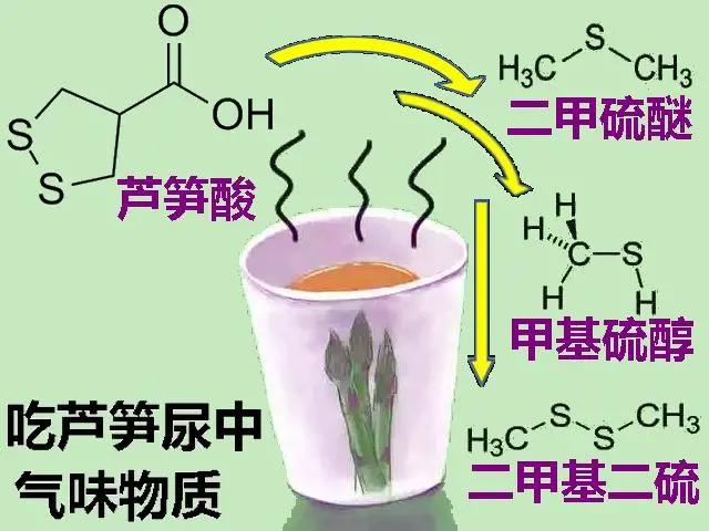 芦笋怎么那么难吃，法国人最讨厌的蔬菜大盘点