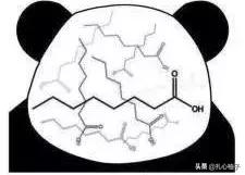 刘亦菲是喜欢郎朗吗，刘亦菲原来是同性恋啊...还曾追过郎朗