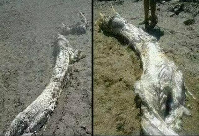 中国营口坠龙事件，十大未解之谜营口坠龙事件